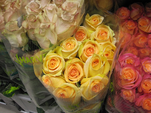 Here is the rarest rose in the shop (the yellow roses in the center). Brought from Ecuador, this is a rare mutation of a Judy rose. Natan said the color and the way the flower opens are the rare characteristics of this specific rose.