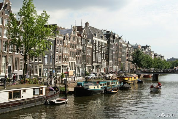 IMG_7281 IMG_7281