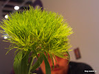 FILE0080.JPG