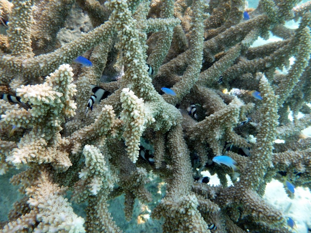 [P10102603.jpg]