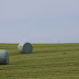 DSC02119.JPG