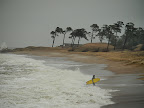 4.01.2012. Palmbeach