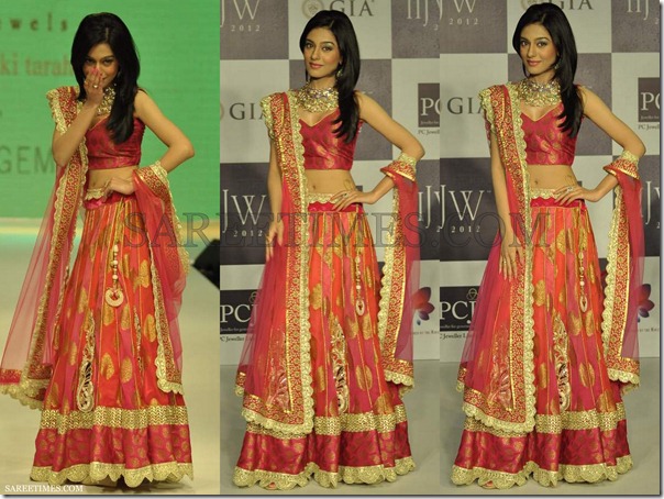 Amrita_Rao_Lehenga