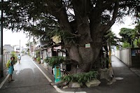 IMG_1461.JPG