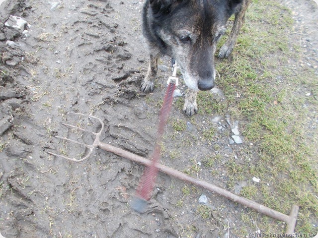 and then we came to a fork in the road.. and then we came to a fork in the road..