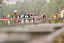 Roth_2010_093.jpg