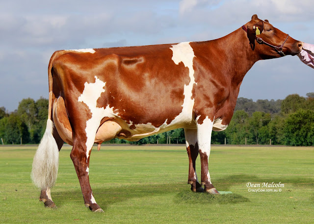 Glenbrook Envy__5x7.jpg