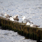 20100822_074_small.JPG