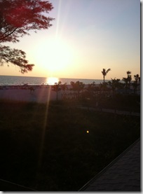 IMG_0324 IMG_0324