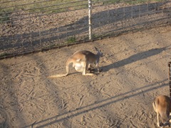 IMG_8646 IMG_8646