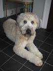 Finnigan.JPG