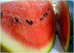 Does Watermelon Rhine Work Like Viagra