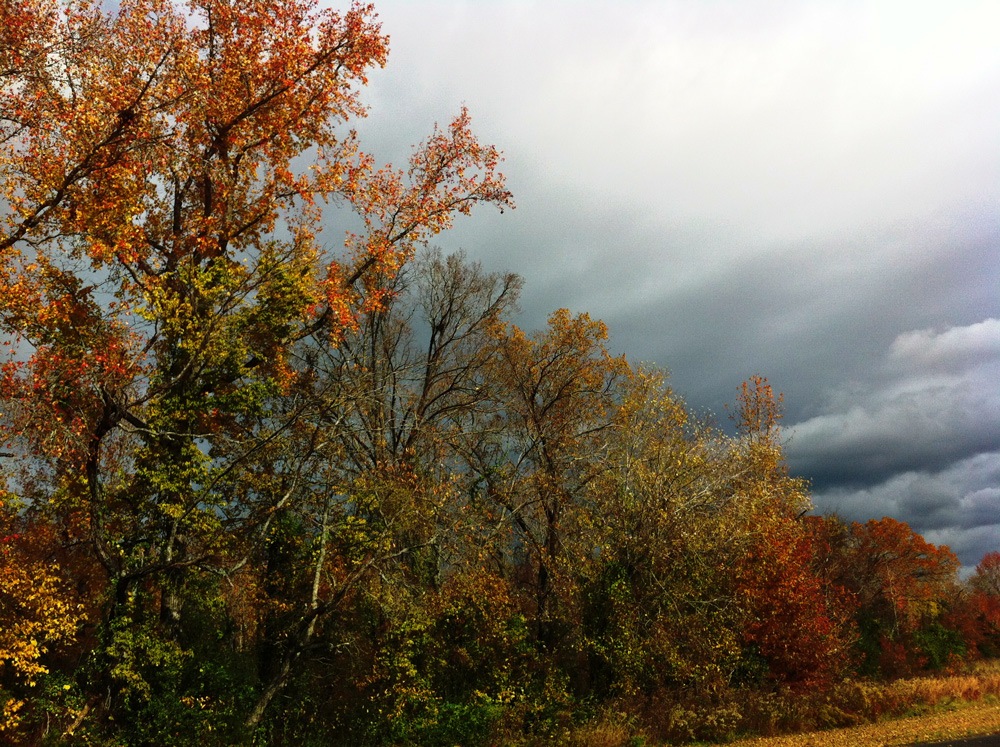 [lastfallphoto%255B4%255D.jpg]