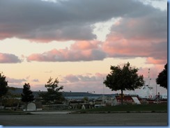 IMG_3924 IMG_3924