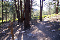 IMGP0003.JPG Photo