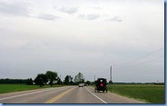 4993 On way to Kissing Bridge - Mennonite buggy