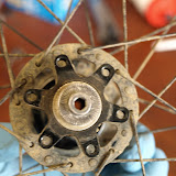 image1.jpg