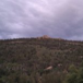 View album