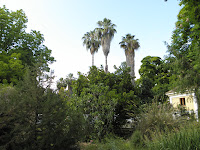 P5280800.JPG