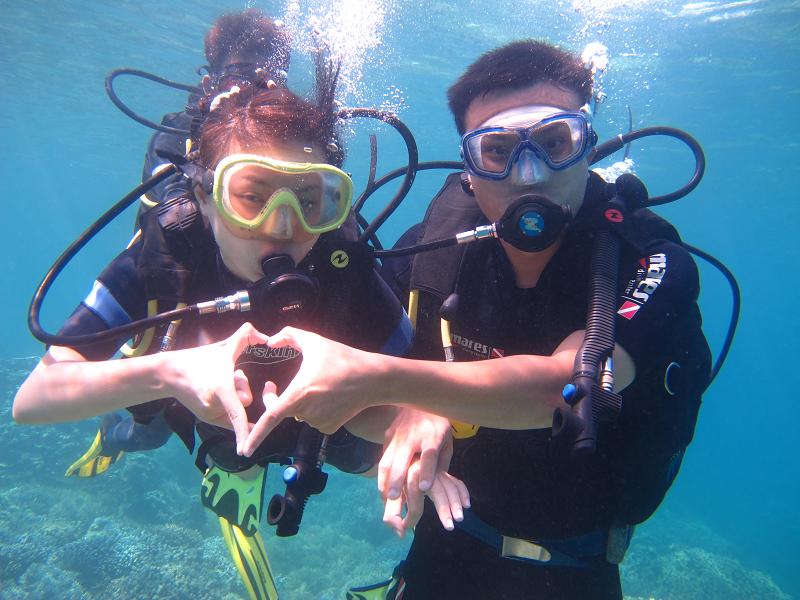 Kết quả hình ảnh cho hinh anh nha trang