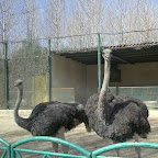 IMG_20120413_130239.