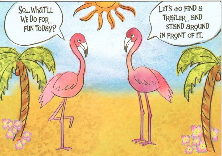 [flamingo%2520c-toon.jpg]