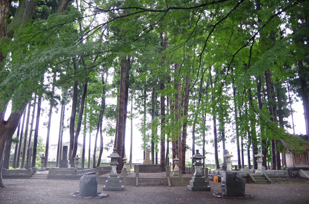 [IMGP70283.jpg]