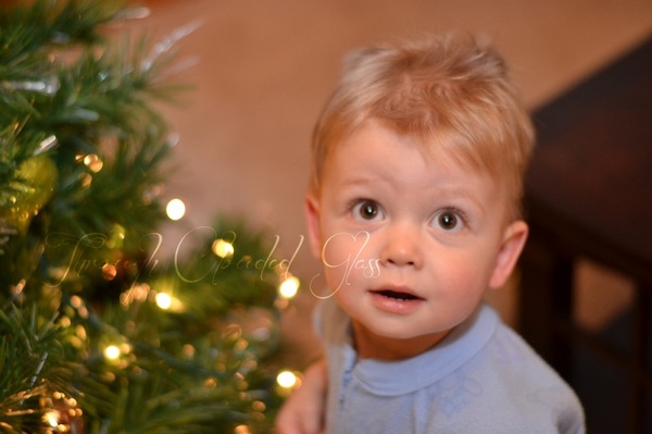 DSC_0202blog.jpg DSC 0202blog