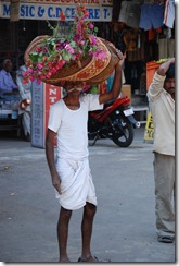 DSC_0153 DSC_0153