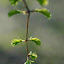 Frühling!