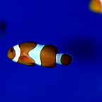 _DSC4451.jpg