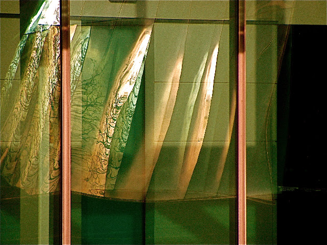 Reflections on the Law
