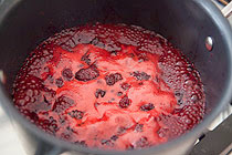blackberry-slump-2.jpg