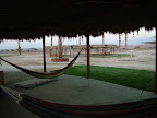 p1236838012(11).jpg
