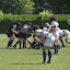 IMG_0674-20110520.JPG