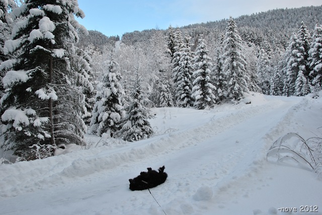 [Winter%2520022%255B2%255D.jpg]