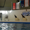 hokkaido_365.jpg
