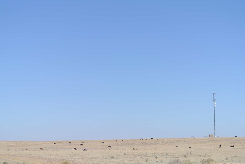 [DSC_37343.jpg]