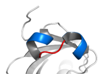 helix loop helix helix loop helix