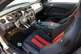 Red-Tails-2013-Mustang-GT-15 Red-Tails-2013-Mustang-GT-15