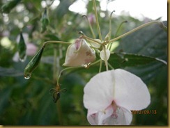P9130015