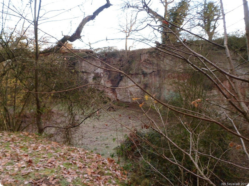 SAM_0001 Gnosall Quarry SAM_0001 Gnosall Quarry