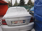 Kerstboomverbranding 2010: Foto