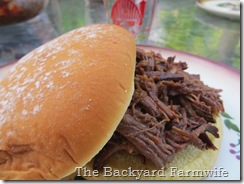 Blackberry BBQ sauce - The Backyard Farmwife