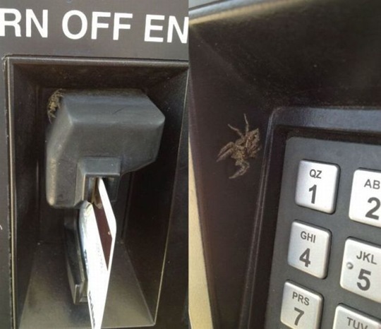 [viral-picdump-pics-19%255B2%255D.jpg]