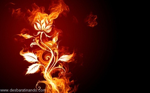 wallpapers fogo fire desbaratinando (8)