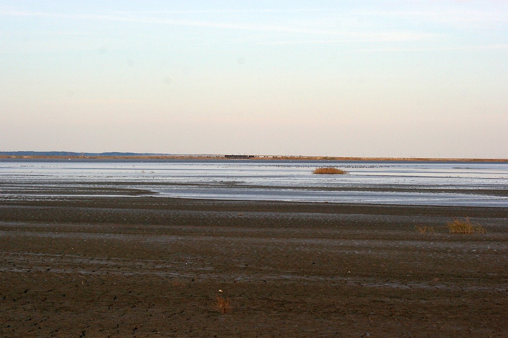 [craney14.jpg]
