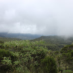 IMG_3221.JPG