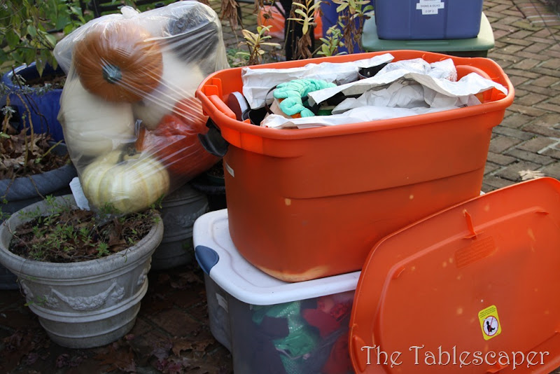 Thanksgiving 054