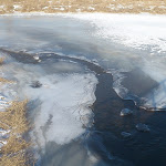 DSC_0464.JPG